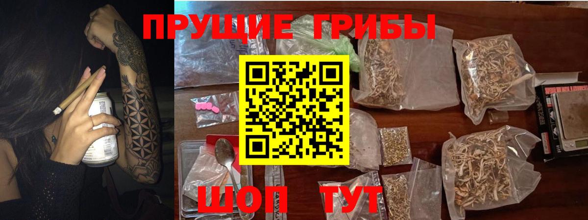 Псилоцибиновые грибы прущие грибы Прохладный