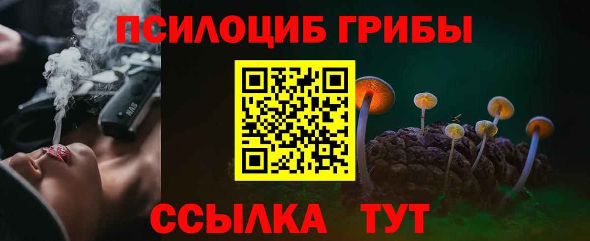 Псилоцибиновые грибы мицелий  Вход с VPN  Псилоцибиновые грибы Magic Shrooms  Прохладный 